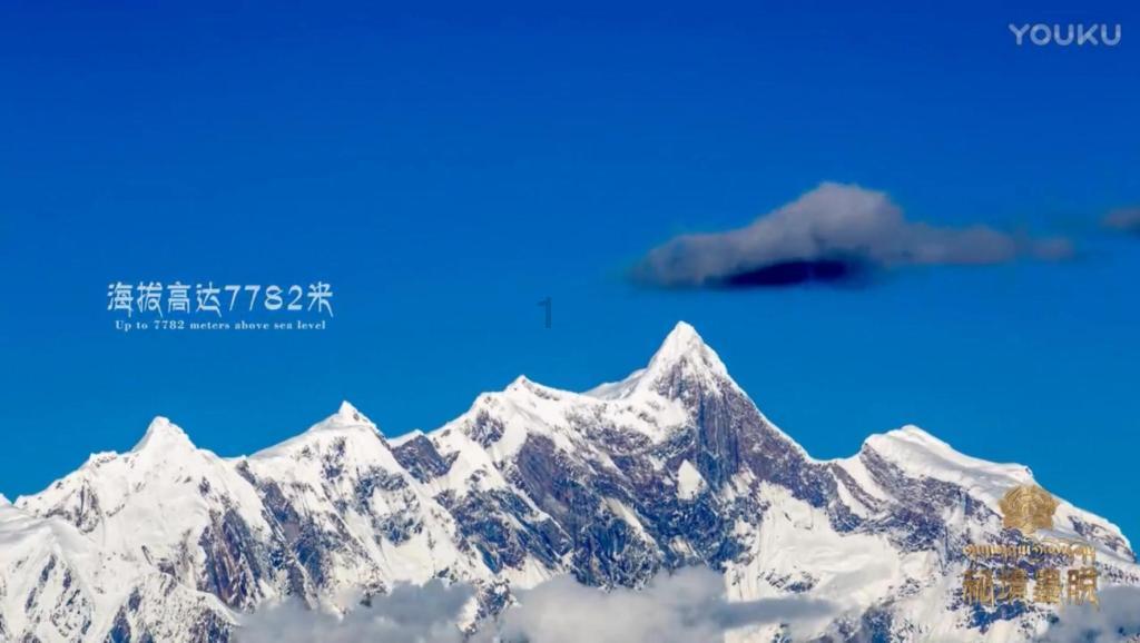 公主鞋蛋糕