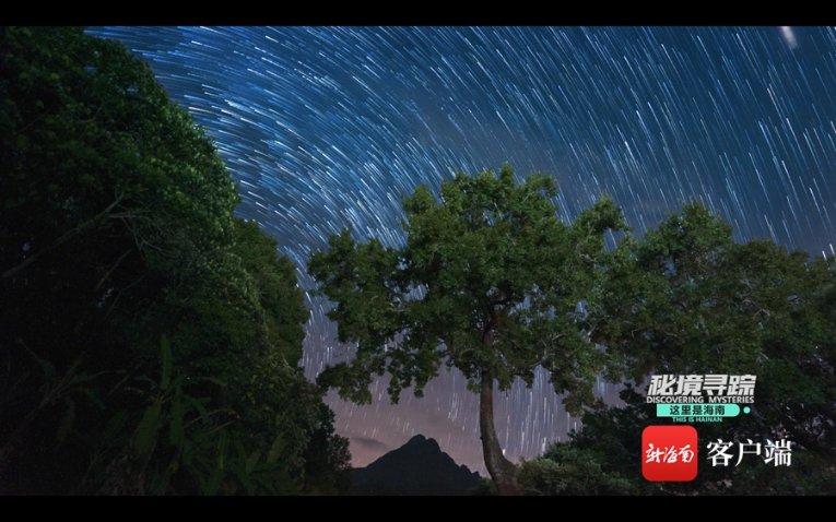 新春走基层｜一颗青菜头的“新”路历程
