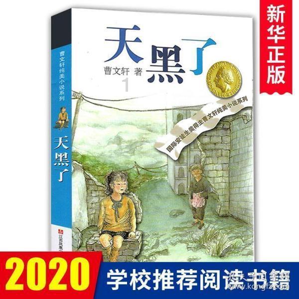 寻找遗失的摩托车