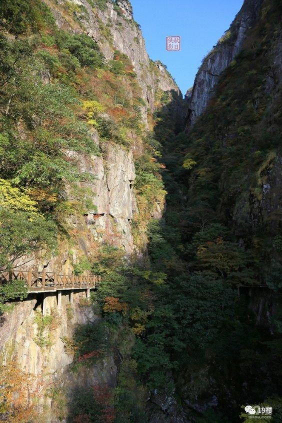 意想不到的旅程
