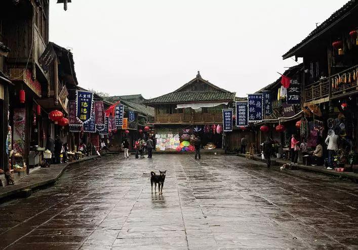 拯救精灵的土地8
